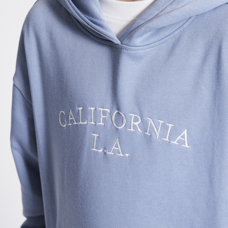 Printed hoodie "Jordon" Blue 2